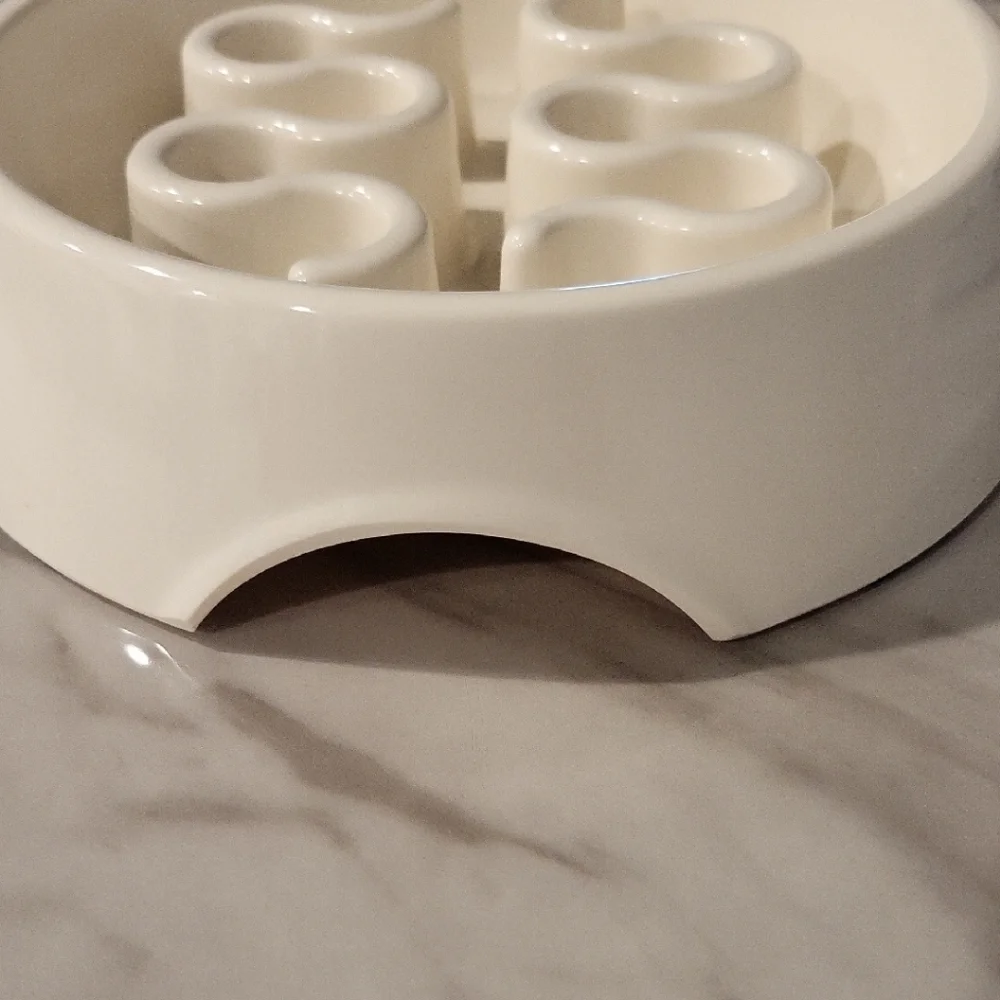 Cream Pet Slow Feeder Bowl